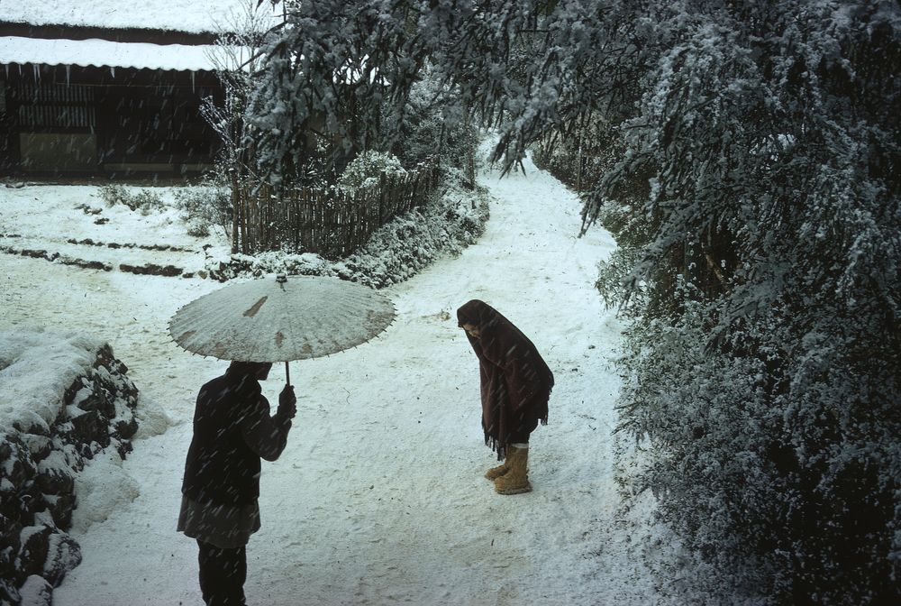 Two people meeting on a snowy pathway in Japan.