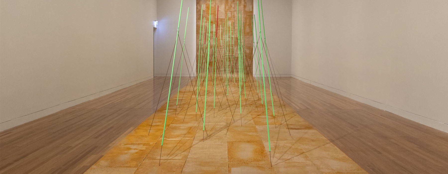 Installation view of the artwork “Extensum/Extensor”. It comprises of a long sheet of rusted paper which hangs from the ceiling and rolls out across the floor. On the floor part of the paper, thins rods in floor green stick out, like hairs