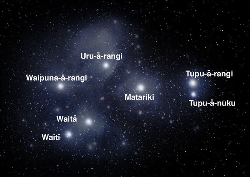 Image of the Matariki star cluster with the names of each star
