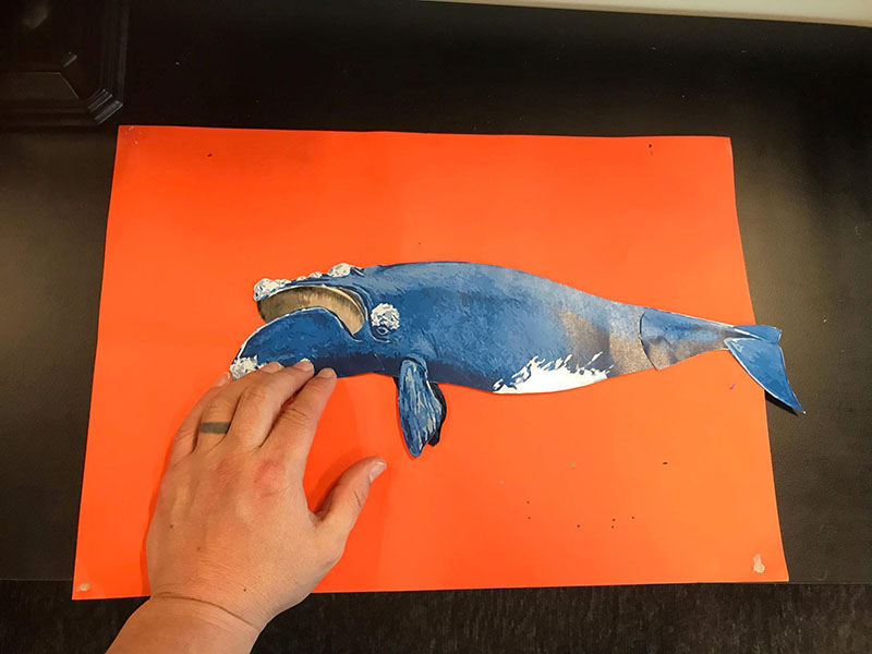 Hand holds up a cut out of a tohorā | southern right whale