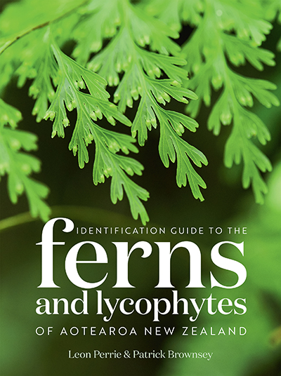 Cover for Identification Guide to the Ferns and Lycophytes of Aotearoa New Zealand