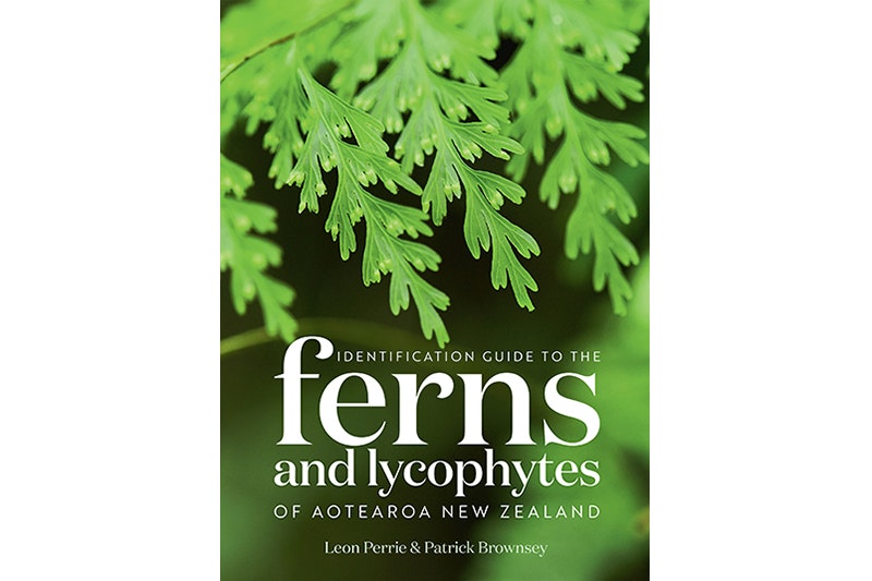 Cover image for Identification Guide to the Ferns and Lycophytes of Aotearoa New Zealand
