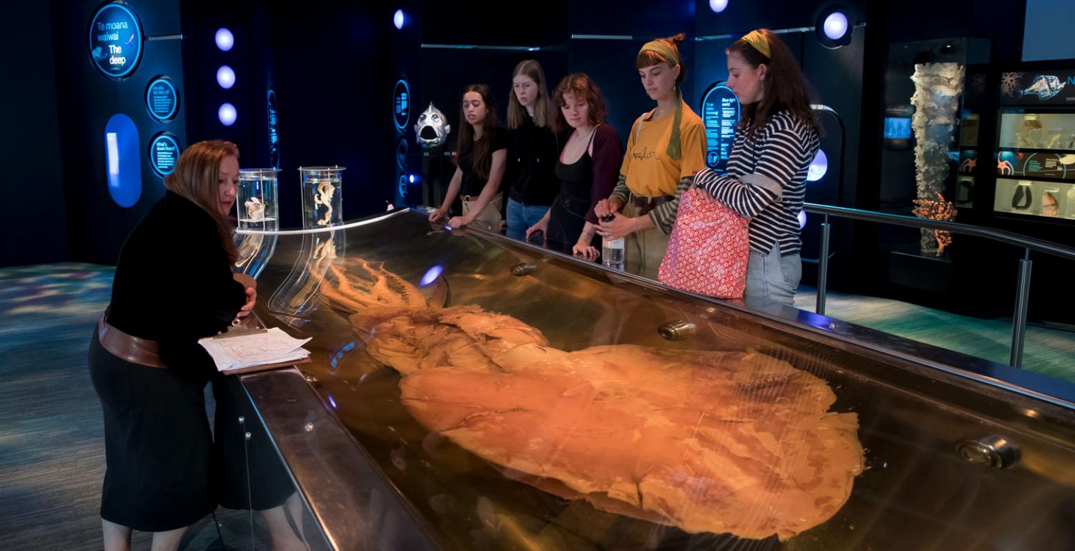 A school group look at the colossal squid