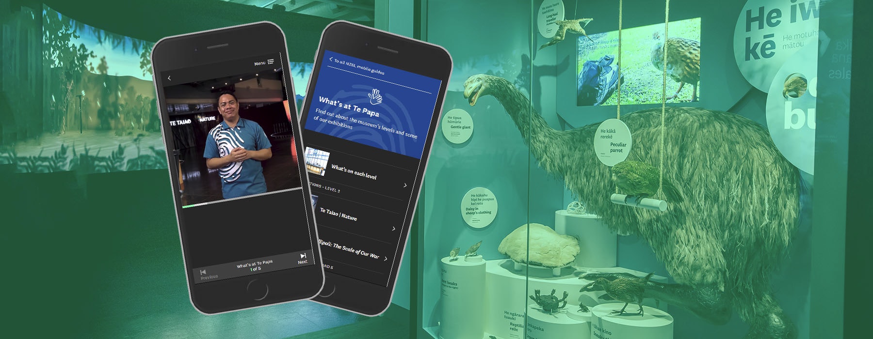 View of the entrance area of Te Taiao Nature, with a moa in a case on the right and a large projected animation on the left. Two phones are superimposed on top displaying the mobile guide