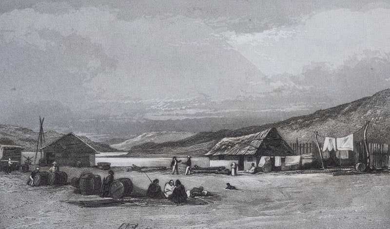 Two buildings on a harbour front, with people sitting about. Many barrels are in the foreground. Washing hangs on the line.