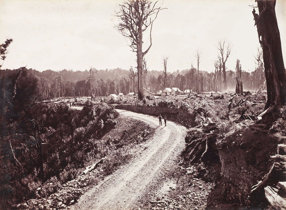 Black and white photo of a road with lots of felled trees