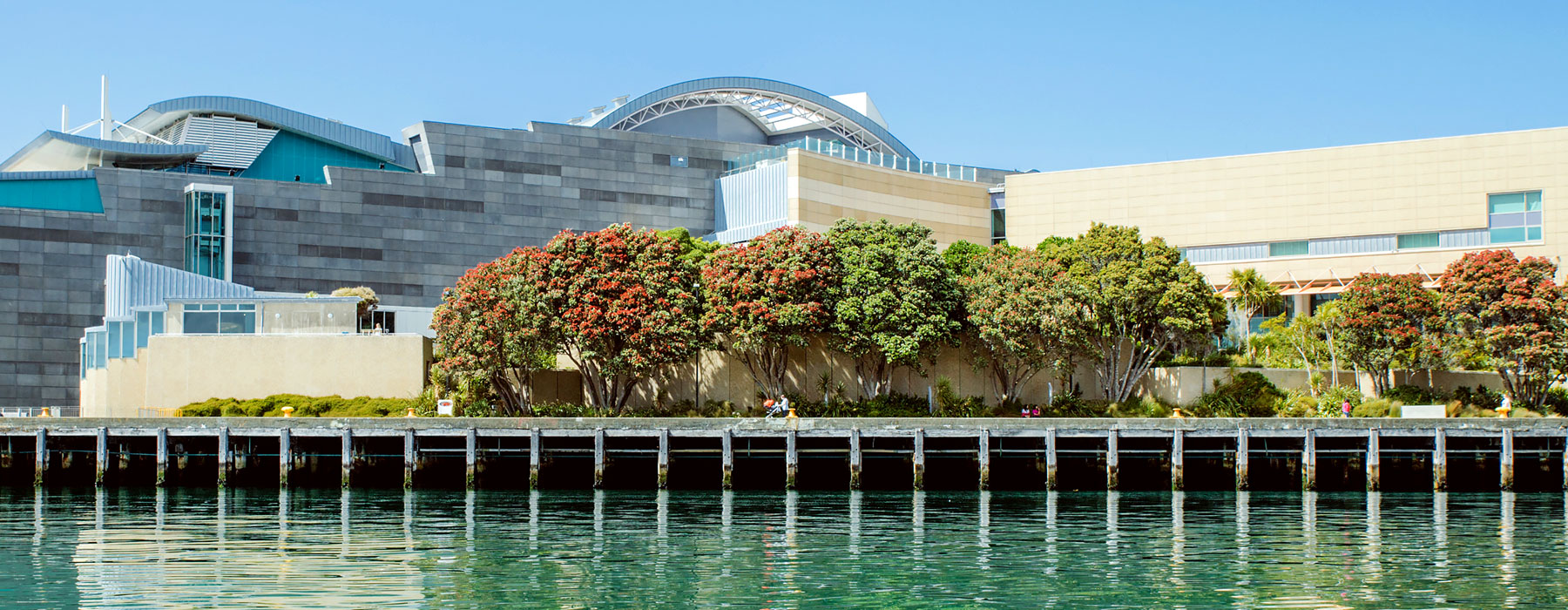 Te Papa from the water