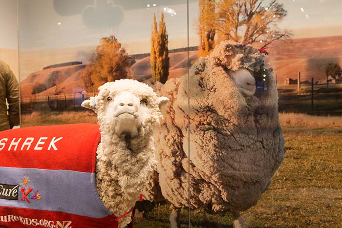 Shrek, 2013. Photograph by Michael Hall. Te Papa