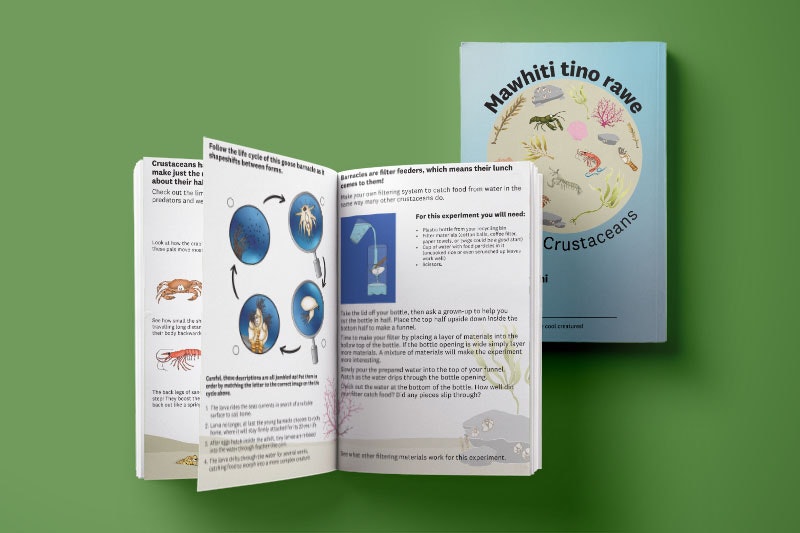 Layout view of the Clever Crustaceans activity book