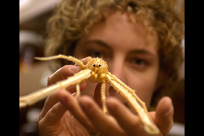 A woman's head and hand holding a small lobster up to the camera. The lobster is in focus and she is blurry.