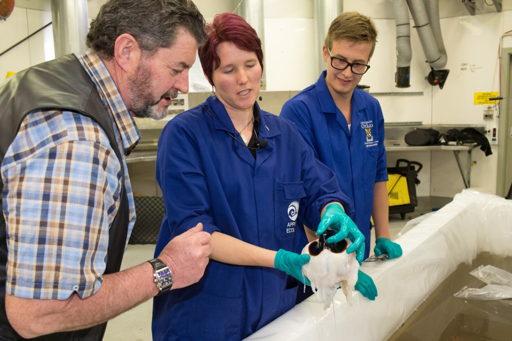 Three people look at the beak of a dissected squid