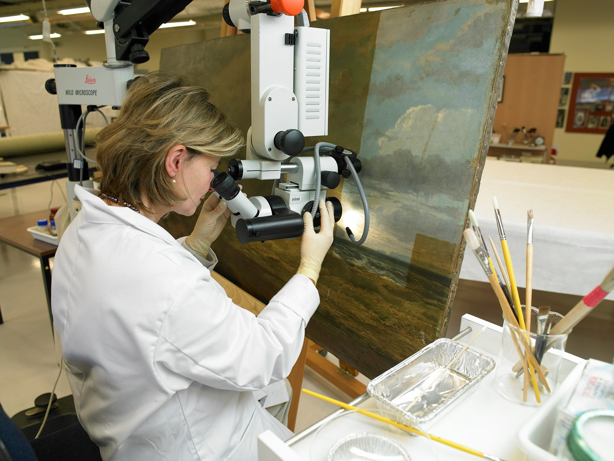 Conservation of Chevalier's Cook Strait. Te Papa A woman looking at a painting through a piece of scientific equipment