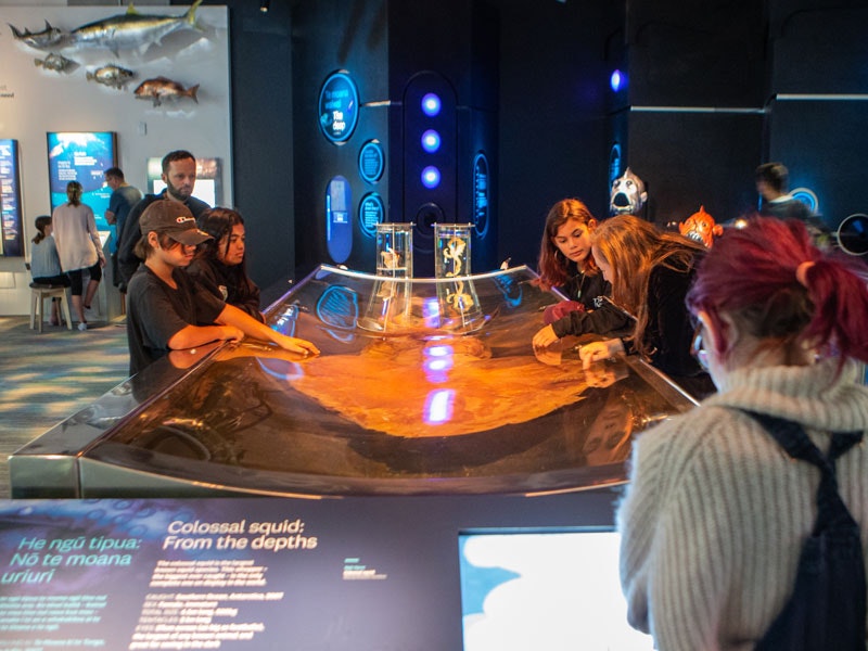 The colossal squid on display with children looking into the tank