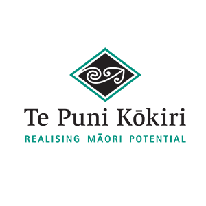Te Puni Kokiri logo 300x300