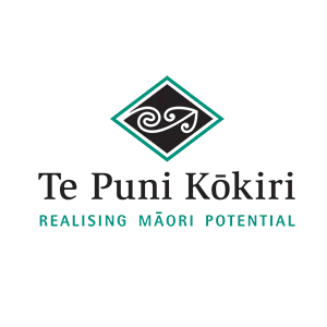 Te Puni Kokiri logo 300x300