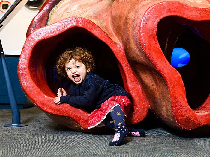A child plays in Te Papa’s whale heart in the Discovery Centre, 2017. Te Papa =""