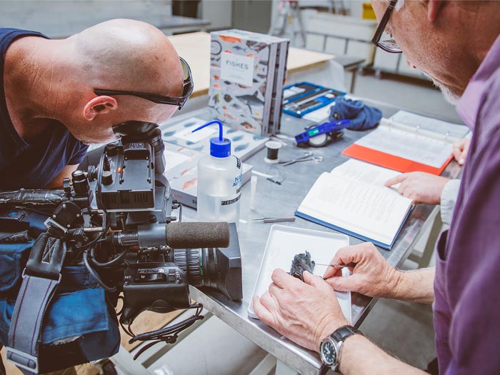 Andrew Stewart at work in the Fishes lab, 2015. Te Papa