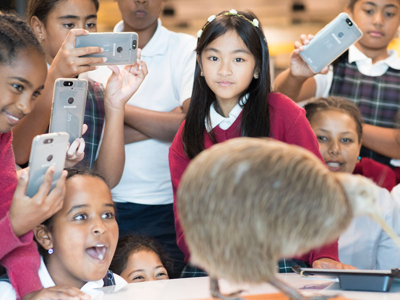 School visit using the collections and 3D technology