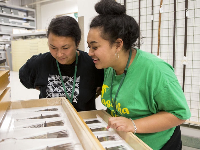 Pacific Store tour 02, 2015. Photographer Michael Hall, ©Te Papa