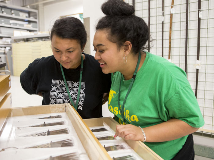 Pacific Store tour 02, 2015. Photographer Michael Hall, ©Te Papa