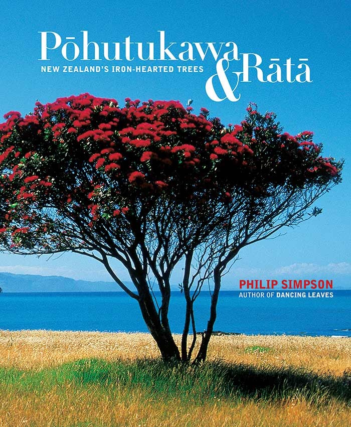 Pōhutukawa & Rātā: New Zealand’s Iron-hearted Trees | Te Papa