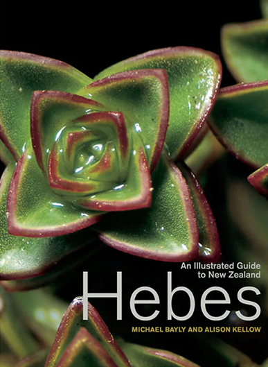 Book cover for An Illustrated Guide to New Zealand Hebes