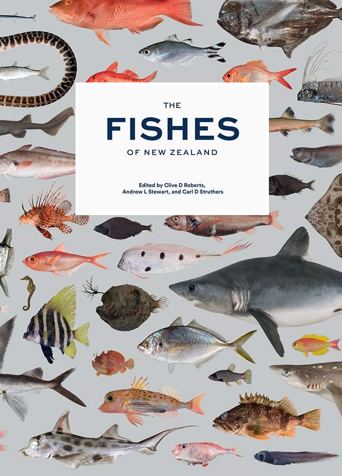 Fishes of New Zealand cover