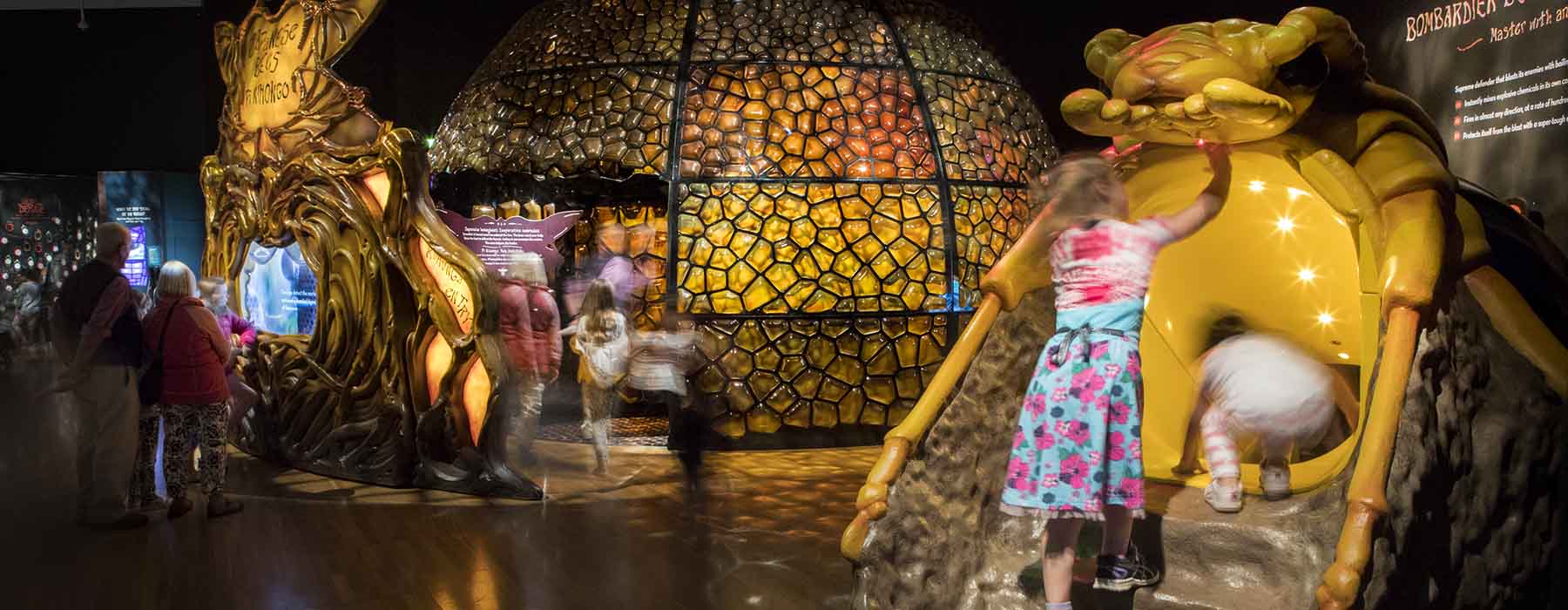 Photograph of the inside of the Bug Lab exhibition