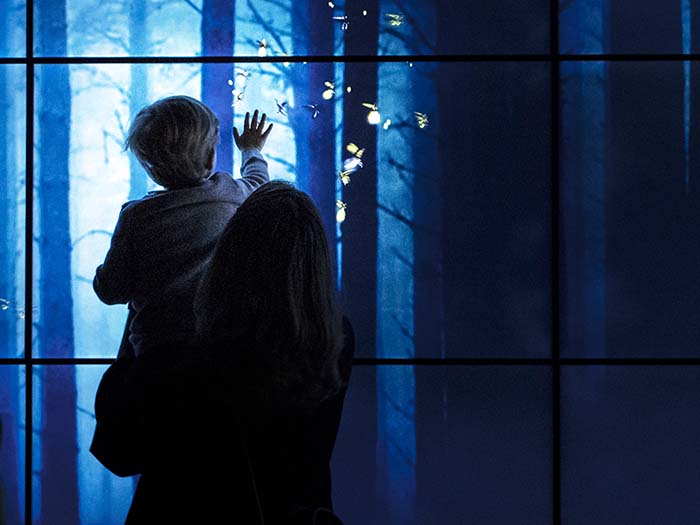 A child and his mother playing with an interactive firefly screen in the Bug Lab exhibition