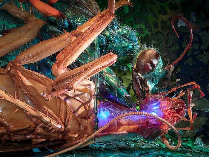 Bug Lab: Behind the scenes at Weta Workshop | Te Papa