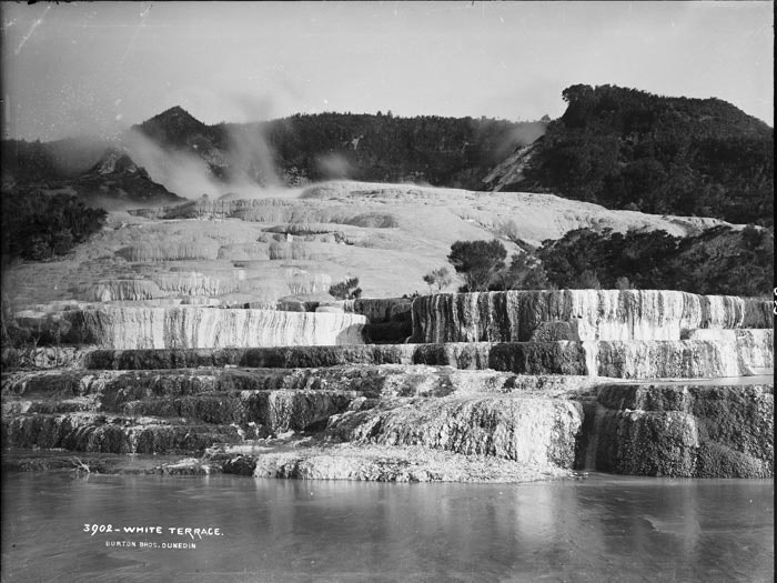 White Terrace, New Zealand, by Burton Brothers studio, Alfred Burton. Te Papa (C.010633) White Terrace, New Zealand, by Burton Brothers studio, Alfred Burton. Te Papa (C.010633)