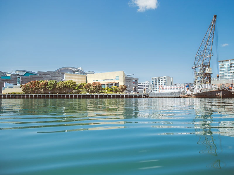 View of Te Papa from the harbour, 2016. Photograph by Amanda Rogers. Te Papa Low shot of Te Papa from the harbour, which dominates the bottom half of the image, with a boat on the right-hand side
