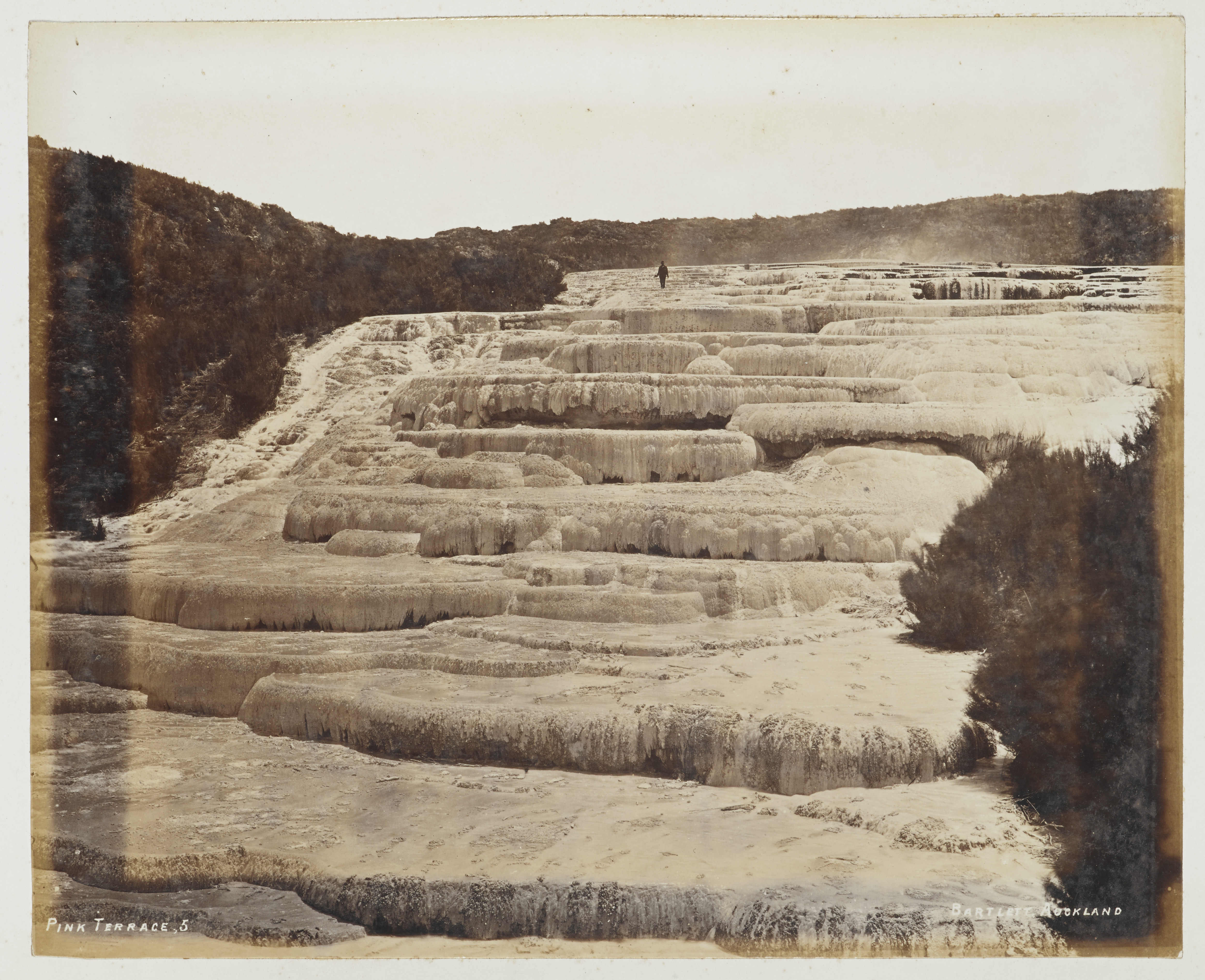 Black and white photograph of the Pink and White Terrace