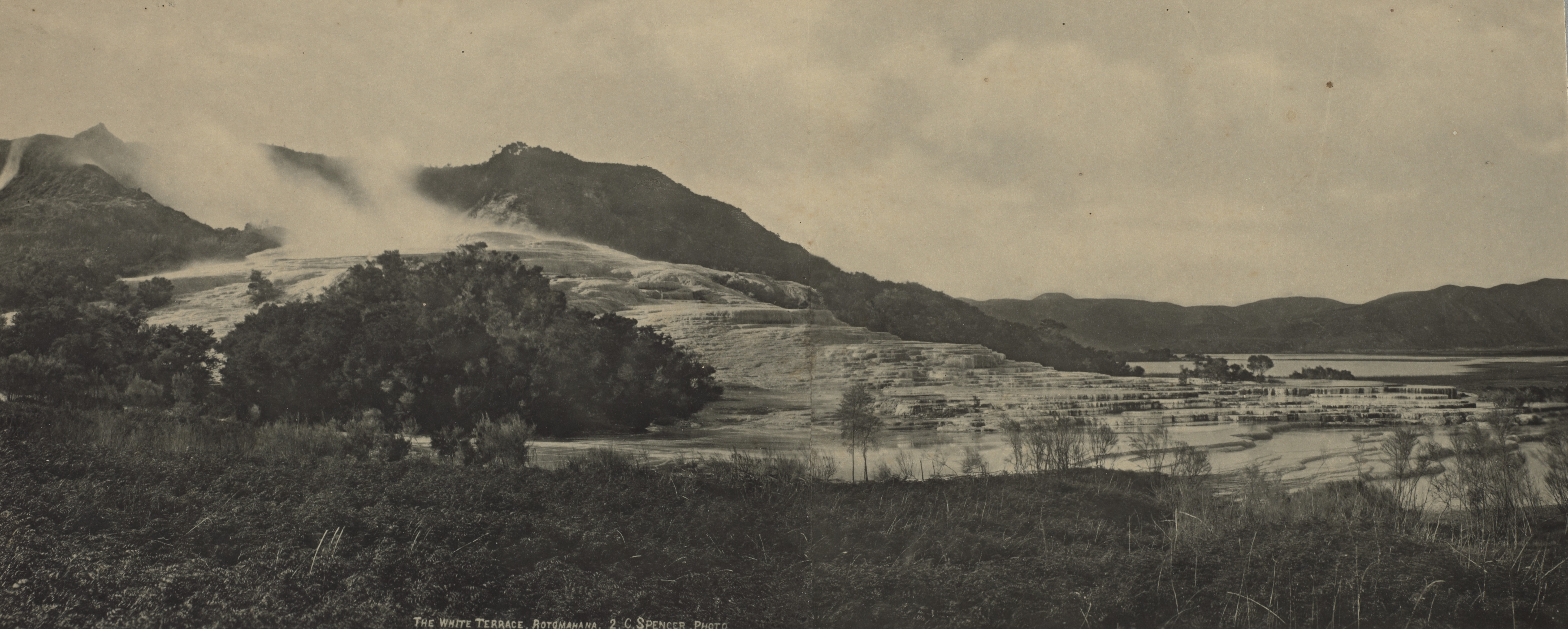 Albumen silver print