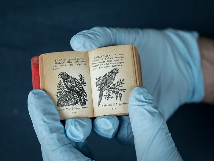 Kea, page 128, and Kākāriki, page 129, from Reeds’ Lilliput Dictionary Māori-English/English-Māori. Te Papa small-book-parrot-2017-te-papa-700x525.jpg