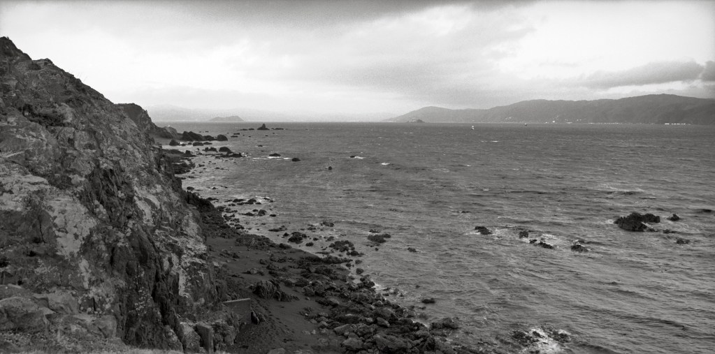 Black and white photograph of Somes Island and Ward Island