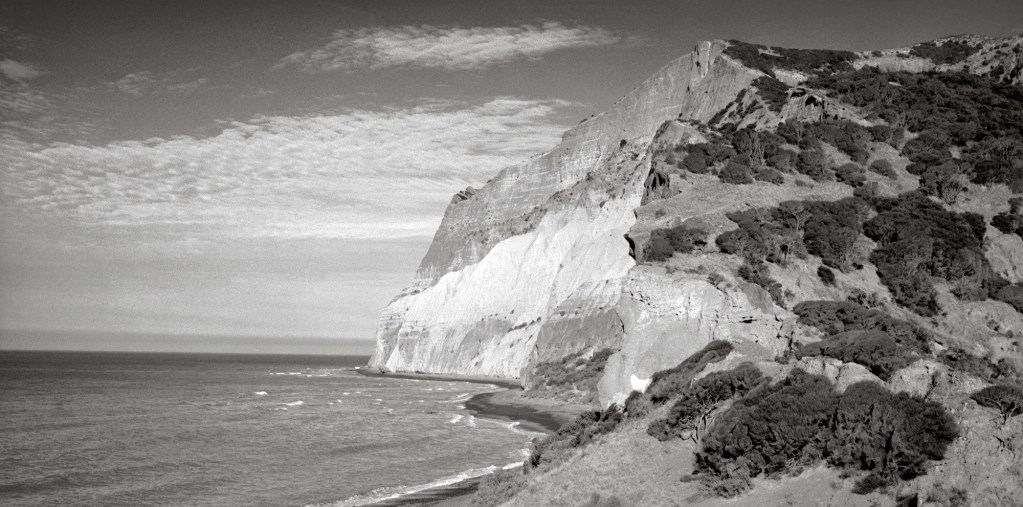 Black and white photograph of Wairau Valley, Marlborough