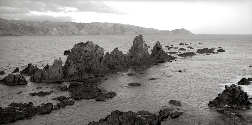 Black and white photograph of Wellington Harbour