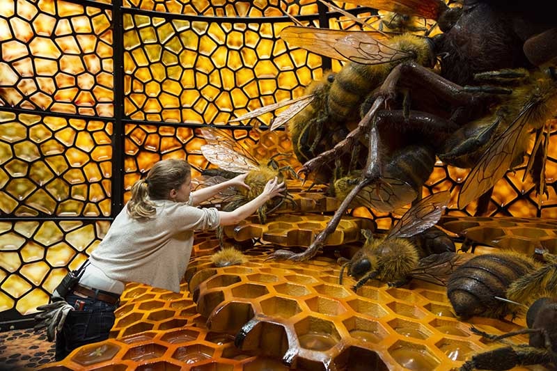Bees in a giant honeycomb