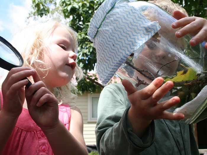 Young children look at insects in a jar