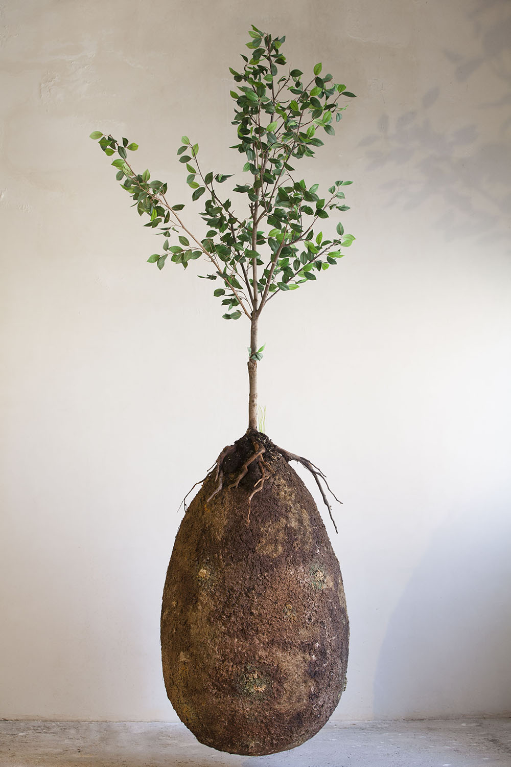 An egg shaped container covered in dirt, with a tree growing out of it