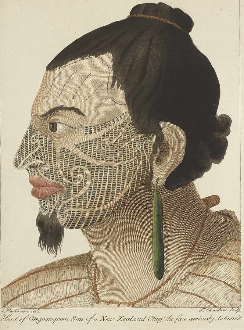 A watercolour painting of a Maori chief with a face tattoo