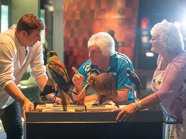 Visitors on a tour of Te Papa, 2020. Photo by Jeff McEwan. Te Papa te_papa_2020_tours_stock_135_lg.jpg