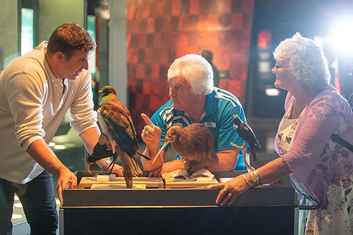 Two men and a woman looking at taxidermied birds. The man in the middle is pointing at the other man