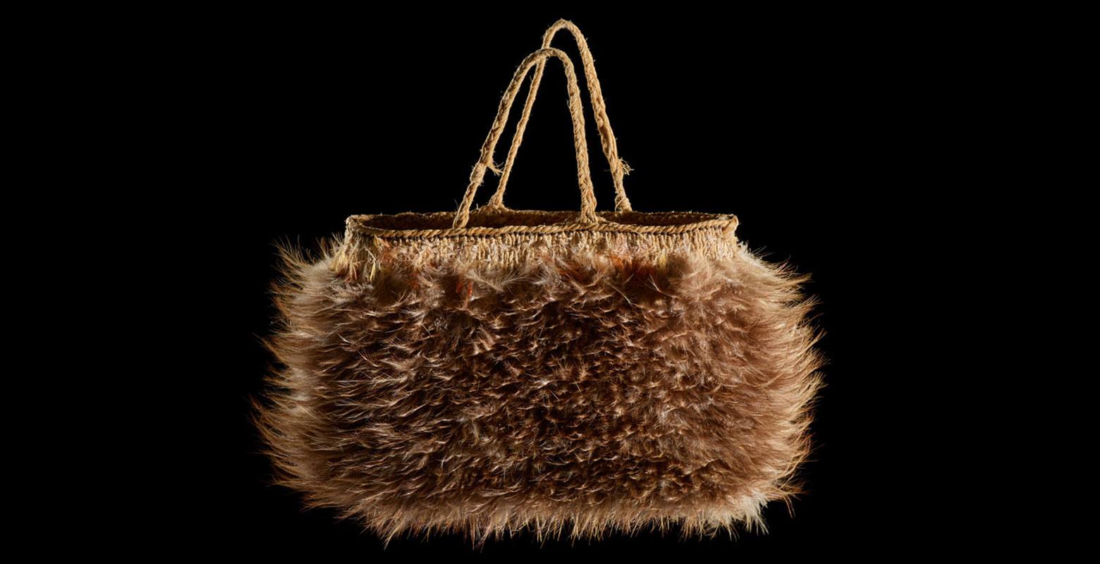 Bag made of kiwi feathers