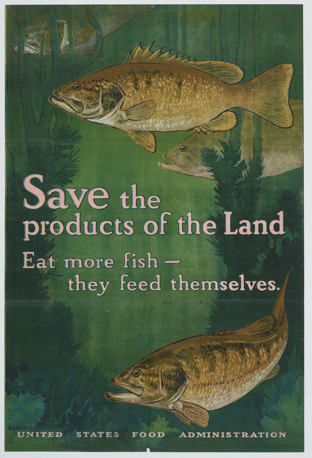 Poster with the words 'Save the products of the land, each more fish - they feed themselves'