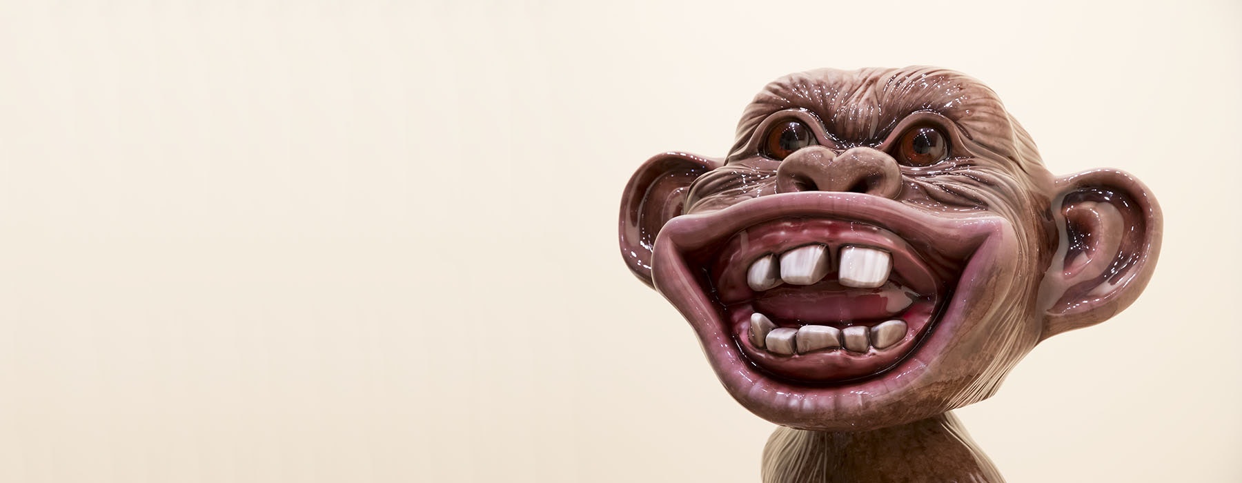 Shiny smiling monkey face