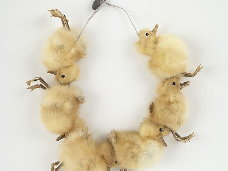 Lisa Walker, Necklace, 2016, taxidermy ducklings, thread, steel compound. Te Papa (2017-0011-5) =""