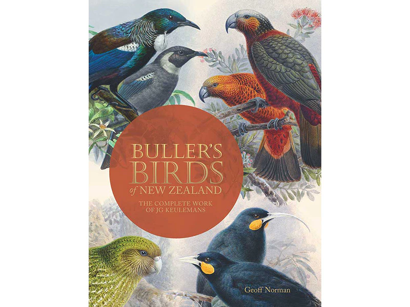 cover of a book about birds of New Zealand