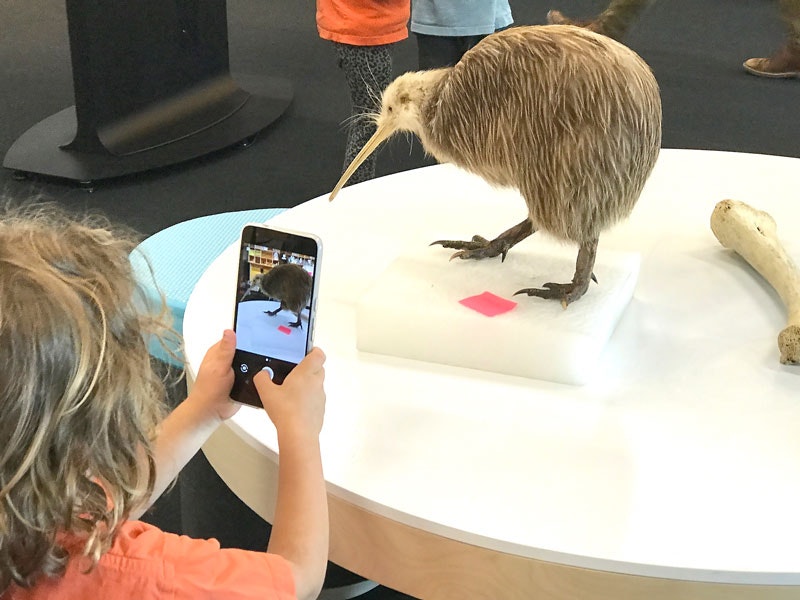 A child takes a photograph of a Kiwi